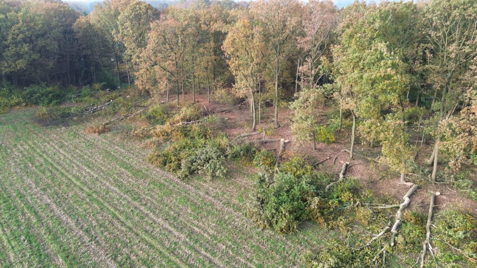 Hilkensbergse bos kap