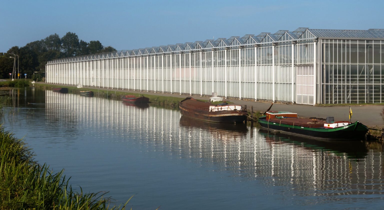 Poeldijk,_kassen_aan_de_Wateringseweg_IMG_0900_2021-09-05_16.41